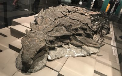 The Corpse of a 100 Million-Year-Old Dinosaur Was Discovered Intact