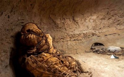800-Year-Old Mummy of Kidnapped Person Discovered