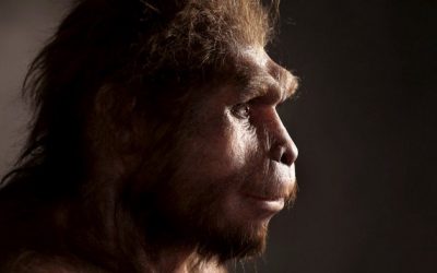 How Language Helped Humans Evolve