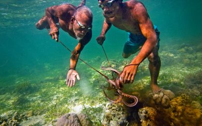 Bajau Tribesmen Can Hold Their Breath Underwater for 13 Minutes