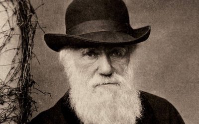 An Assumption Made by Charles Darwin 160 Years Ago Has Been Proven