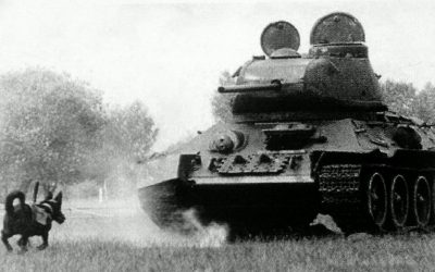 The Soviet Anti-Tank Dog