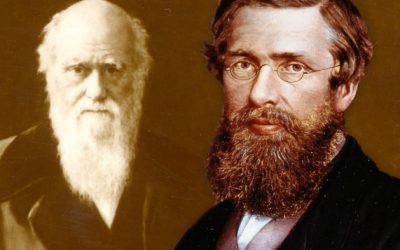 The Real and Forgotten Creator Behind the Theory of Evolution