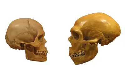 The 100,000 Years War Between Neanderthals and Homo sapiens
