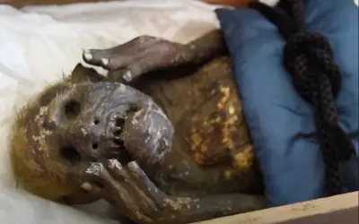 The Mystery Behind a 300 Year Old Mermaid Mummy