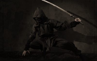 The Interesting Origin of Ninjas