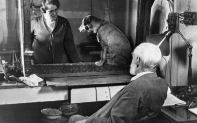 Pavlov’s Dog: The Experiment That Revolutionized Psychology