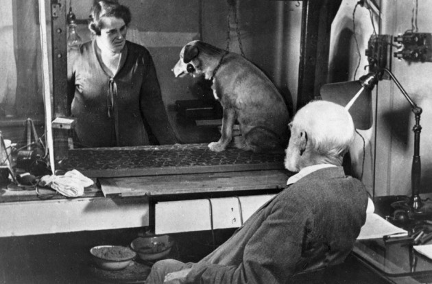 Pavlov’s Dog: The Experiment That Revolutionized Psychology