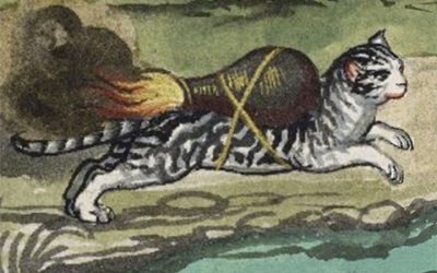 Cats Were Actually Used As Rockets in the Medieval Era