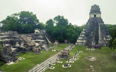 Why Did the Mayans Trade Animals 3000 Years Ago?