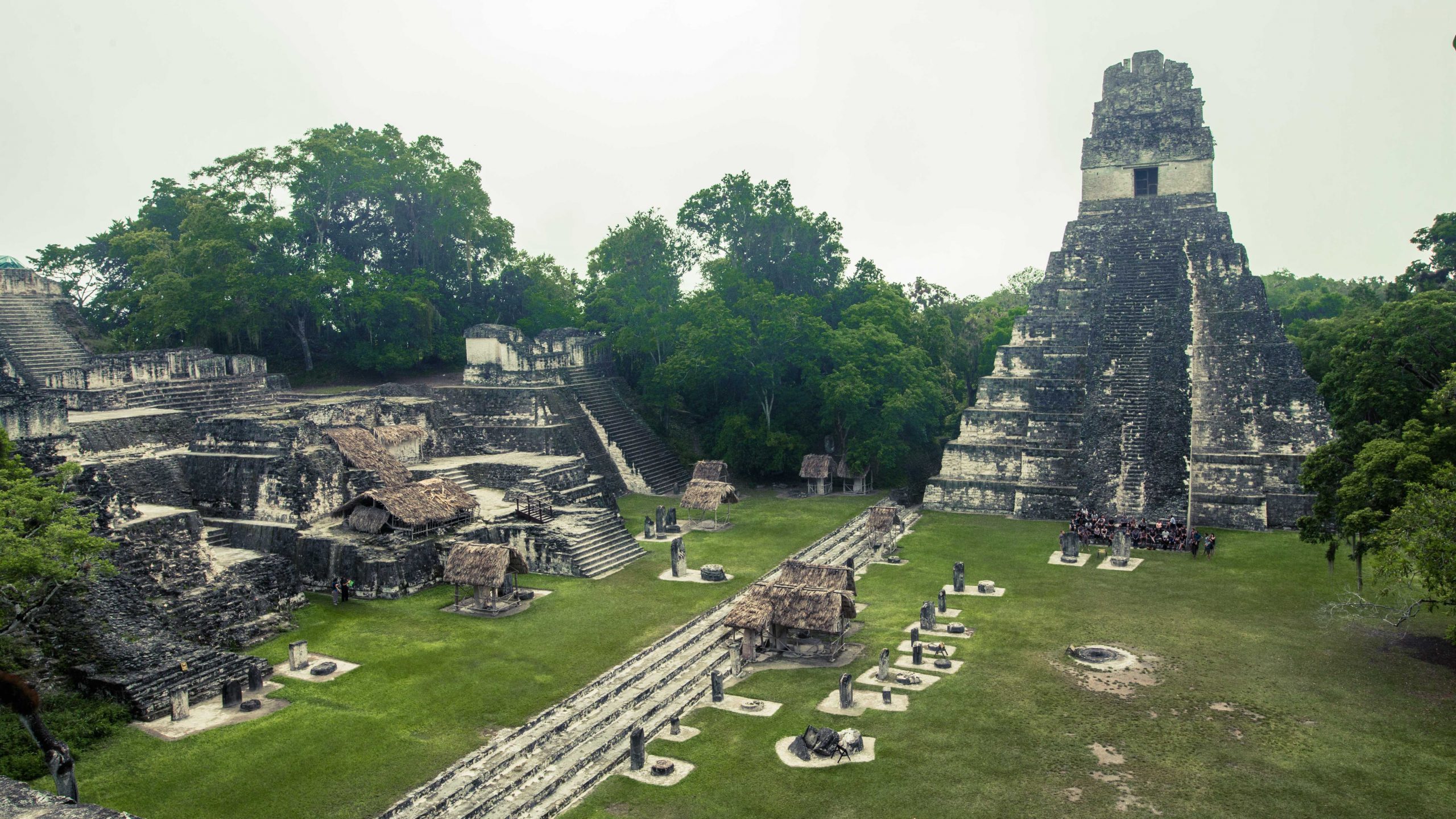 Why Did the Mayans Trade Animals 3000 Years Ago? | History of Yesterday