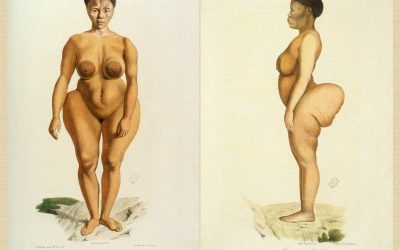 Sarah Baartman: The Strong Woman Who Had Her African Buttocks Exploited for Entertainment