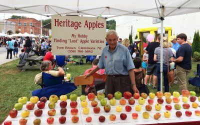 Retired Engineer Has Saved 1,200 Types of Apples From Extinction
