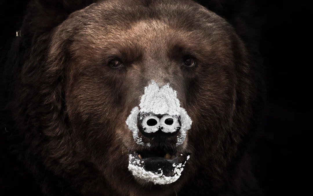 How True Is the Story of Cocaine Bear?