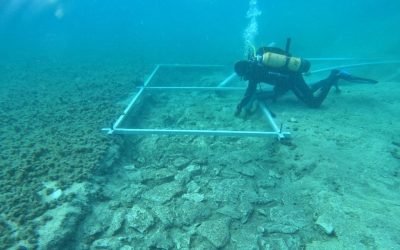 7000-year-old Road Found At The Bottom Of The Mediterranean Sea