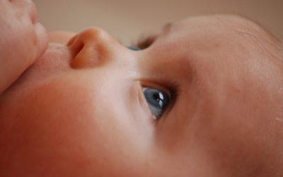 Scientists Claim Lab-Grown Babies Could Be Seen In 2028