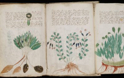 Voynich Manuscript: The Book Written In A Indecipherable Language