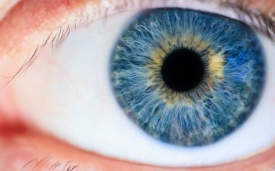 Study Shows That Blue-eyed People Are More Likely To Be Alcoholics