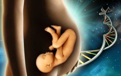 Mitochondrial Eve: The Mother Of All Humans Who Lived 200,000 Years Ago