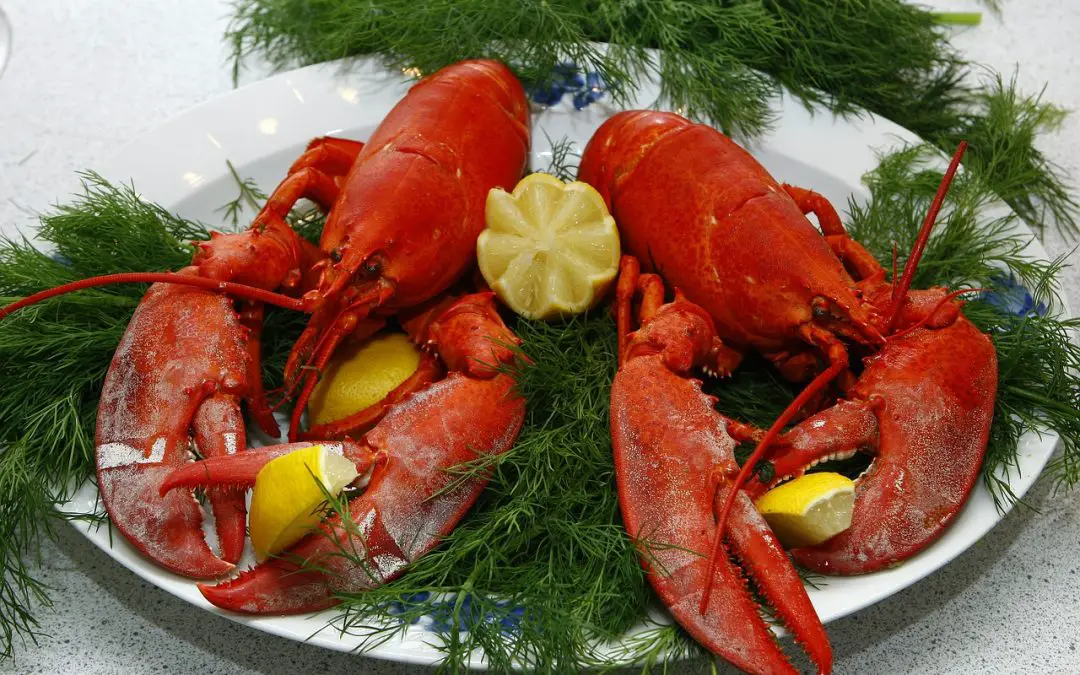 Lobster Used to be a Poor Man’s Food and was Even Served to Prisoners