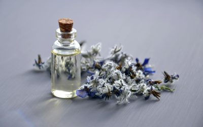 The Rich History of Perfumes: A Journey Through Time